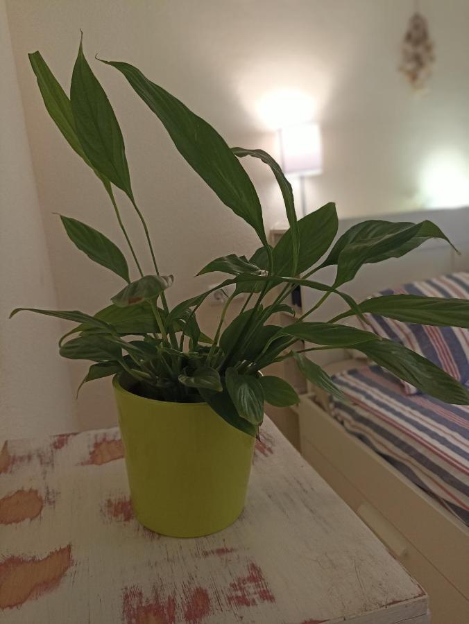 Confortable Habitacion Centrica En Piso Privado Apartment Malaga Ngoại thất bức ảnh